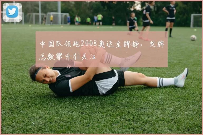 中国队领跑2008奥运金牌榜，奖牌总数攀升引关注