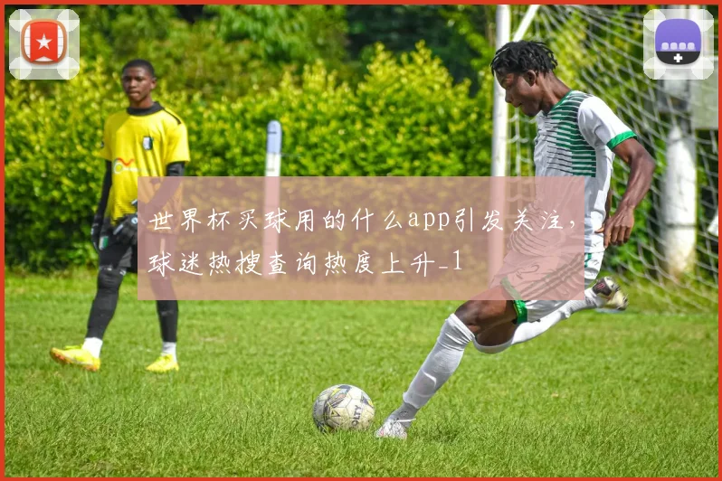 世界杯买球用的什么app引发关注,球迷热搜查询热度上升_1