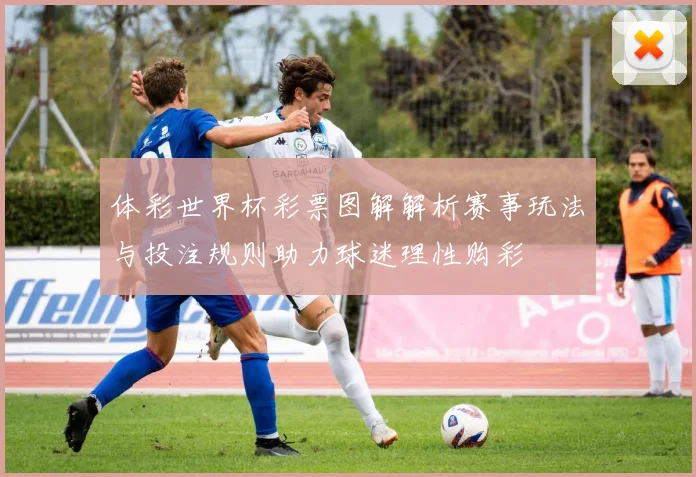 体彩世界杯彩票图解解析赛事玩法与投注规则助力球迷理性购彩