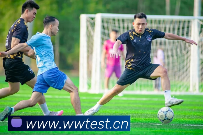 多媒体互动体验